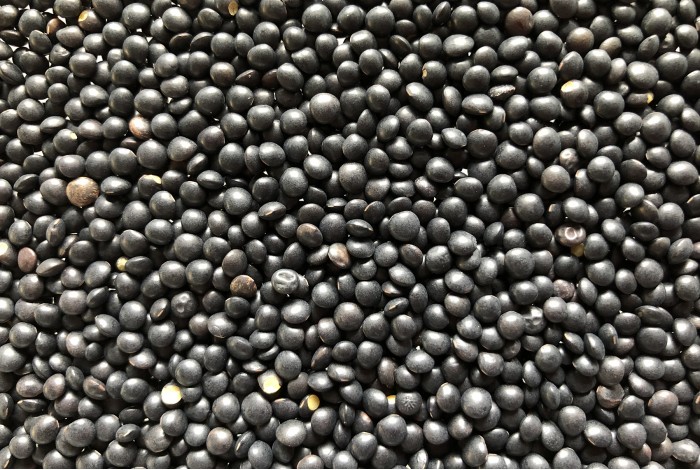 Organic Béluga Lentils (black) to sprout